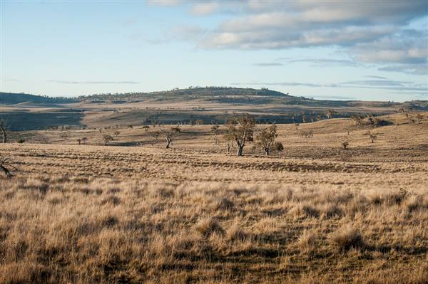 Monaro Plains (20/06/2015 - Credits: Colin McDougall)