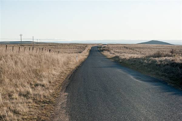 Monaro Plains (20/06/2015 - Credits: Colin McDougall)