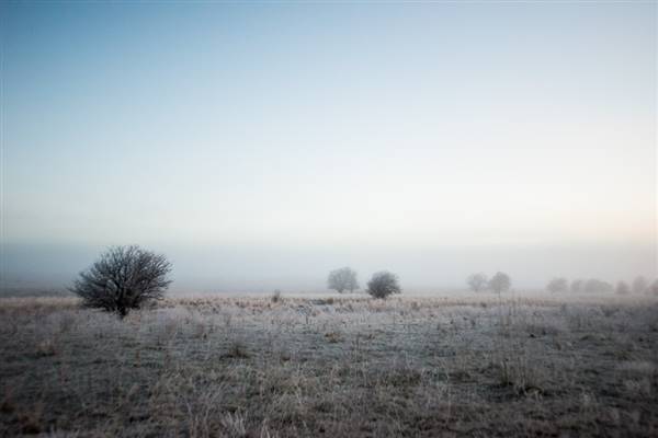 Monaro - Winter Frost (20/06/2015 - Credits: Colin McDougall)