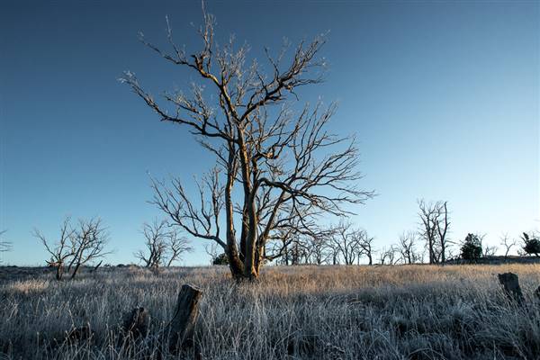 Monaro - Winter Frost (20/06/2015 - Credits: Colin McDougall)