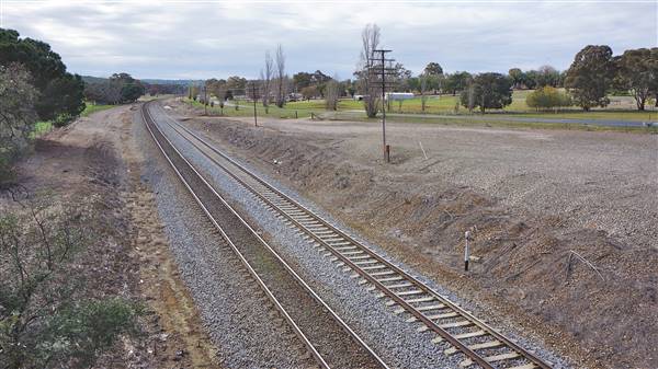 Cootamundra (3/08/2015 - Credits: Mary Barltrop)