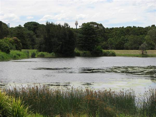 Centennial Park (24/02/2015 - Credits: Phillip Roope)