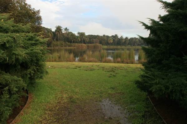 Centennial Park (28/11/2013)