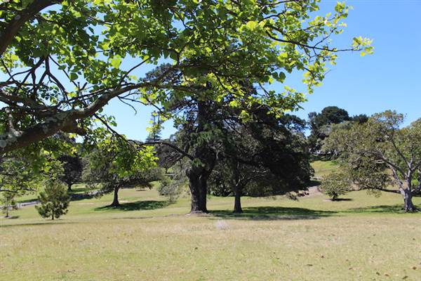 Centennial Park - Loch Ave South (24/10/2014)