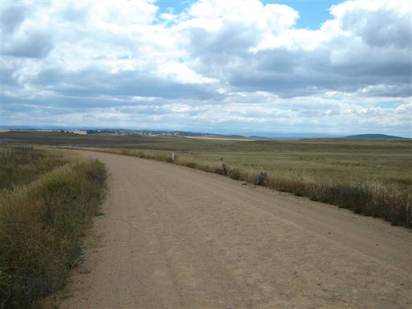 Monaro Plains - Summer (1/02/2005 - Credits: Colin McDougall)