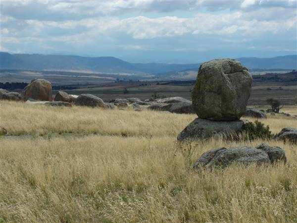 Monaro Plains - Summer (1/02/2005 - Credits: Colin McDougall)