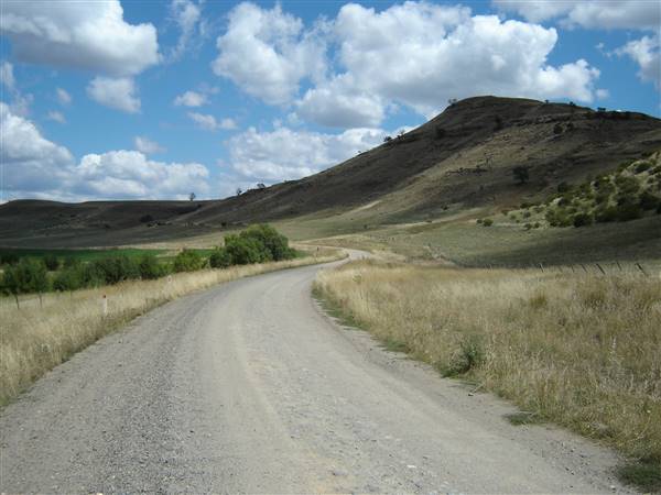 Monaro Plains - Summer (1/02/2005 - Credits: Colin McDougall)