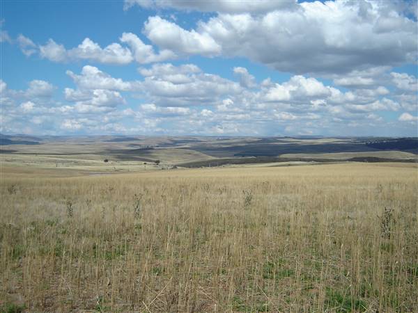 Monaro Plains (1/02/2005 - Credits: Colin McDougall)