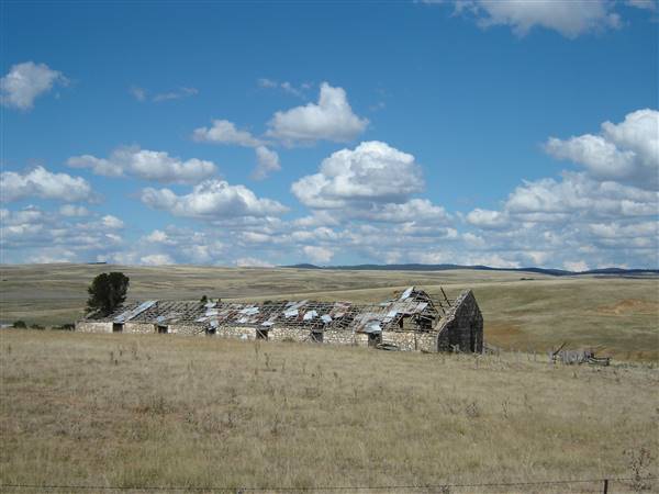 Monaro Plains (1/02/2005 - Credits: Colin McDougall)