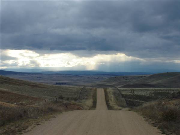 Monaro Plains (1/02/2005 - Credits: Colin McDougall)