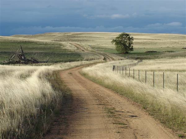 Monaro Plains (1/02/2005 - Credits: Colin McDougall)