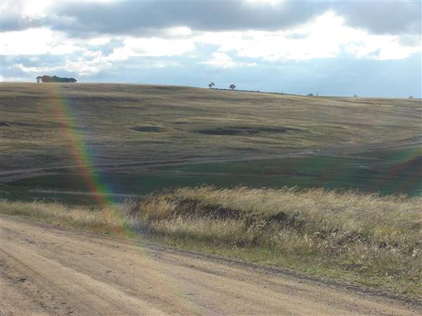 Monaro Plains (1/02/2005 - Credits: Colin McDougall)