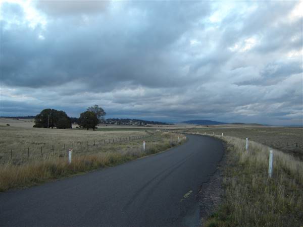 Monaro Plains (1/02/2014 - Credits: Colin McDougall)