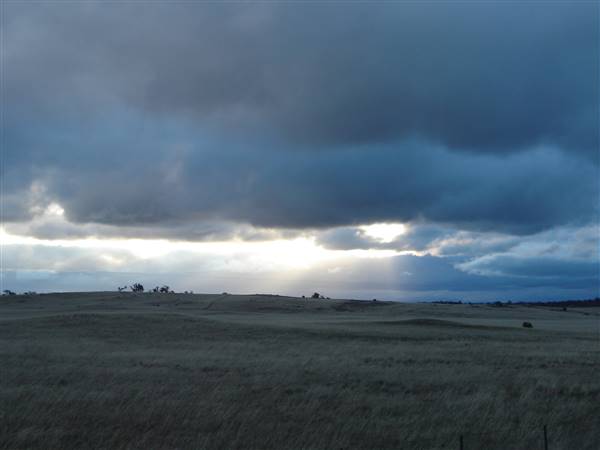 Monaro Plains (1/02/2014 - Credits: Colin McDougall)