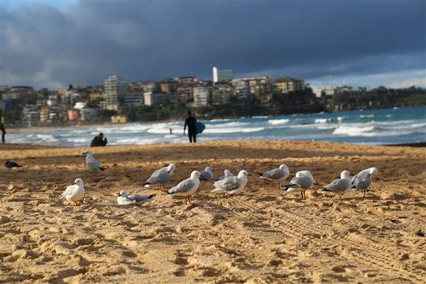 Manly Beach (22/09/2015 - Credits: Andrew Nadkarni)