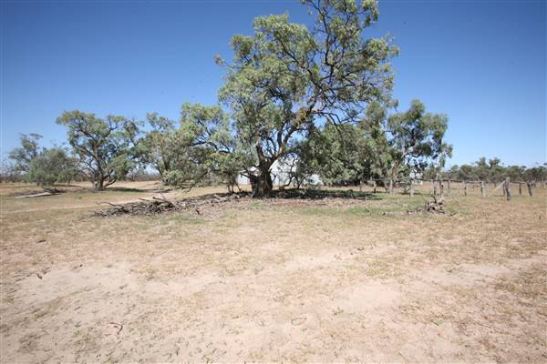 Bindara Station on the Darling - Period Homestead & Outbuildings (20/11/2015)
