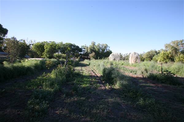Bindara Station (20/11/2015)