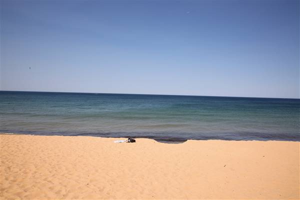 Collaroy Beach (20/11/2015)
