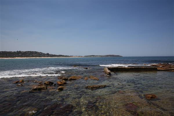 Dee Why Beach and Surrounds (20/11/2015 - Credits: Lisa Scope)