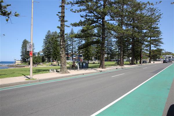 Dee Why Beach and Surrounds (20/11/2015 - Credits: Lisa Scope)