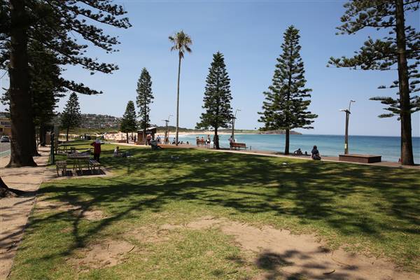 Dee Why Beach and Surrounds (20/11/2015 - Credits: Lisa Scope)