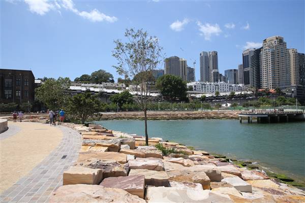 Barangaroo Reserve (25/11/2015)