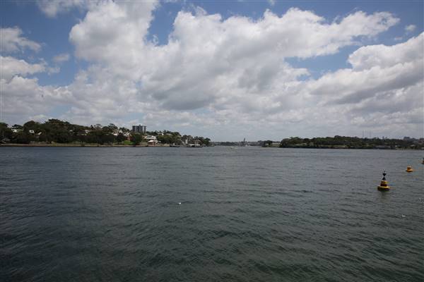 Barangaroo Reserve (25/11/2015)