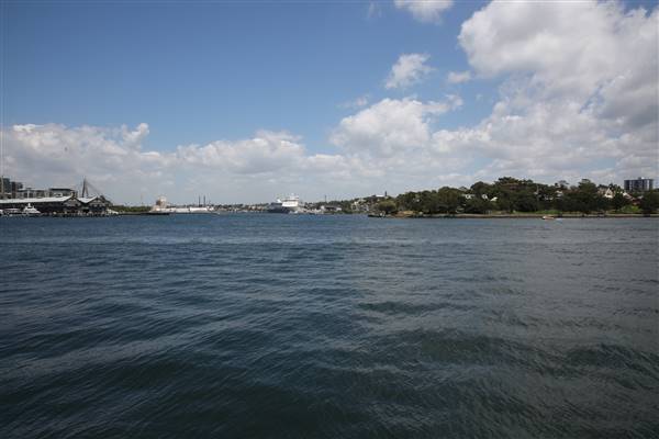 Barangaroo Reserve (25/11/2015)
