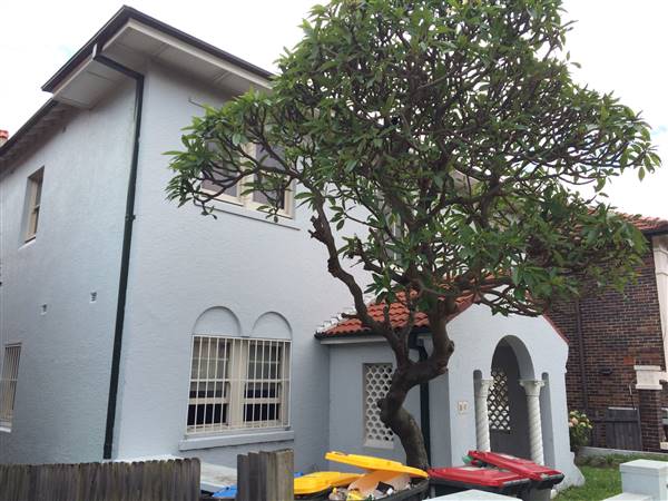 Curlewis Street (26/11/2015 - Credits: Shannon Wheeler)