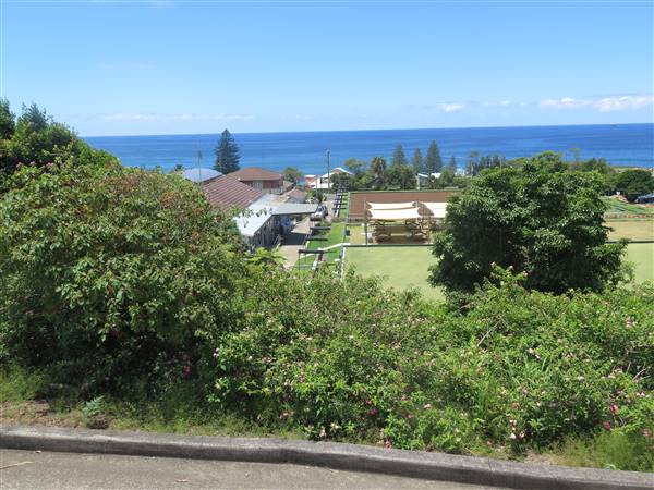 Wombarra neighbourhood (7/12/2015 - Credits: Peter Hicks)
