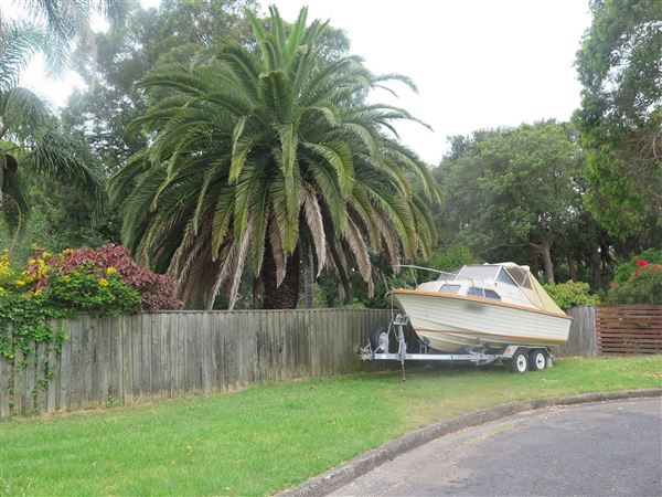 Mona Vale neighborhood (8/12/2015 - Credits: Peter Hicks)