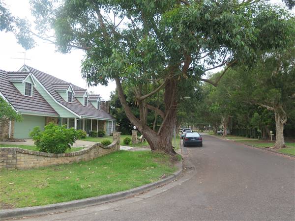 Mona Vale Neighborhood (8/12/2015 - Credits: Peter Hicks)