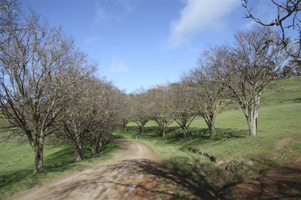 Private House - Crookwell (5/02/2016)