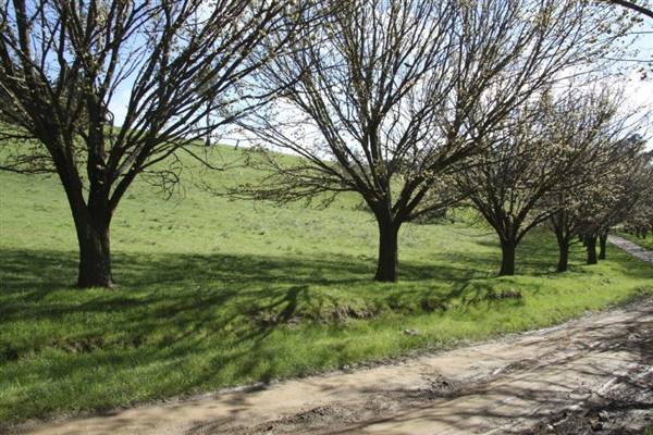 Private House - Crookwell (5/02/2016)