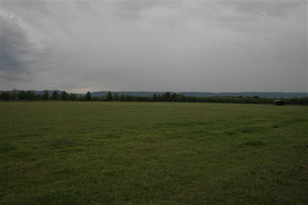 Hobartville (15/03/2016)