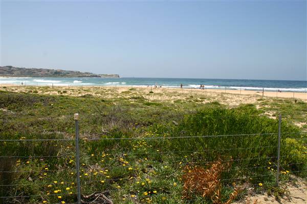 South Maroubra Beach (2/02/2006 - Credits: Lisa Scope)