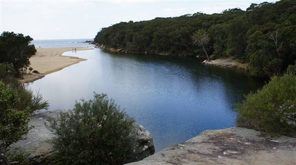 Wattamolla Beach (1/07/2016 - Credits: Mary Barltrop)