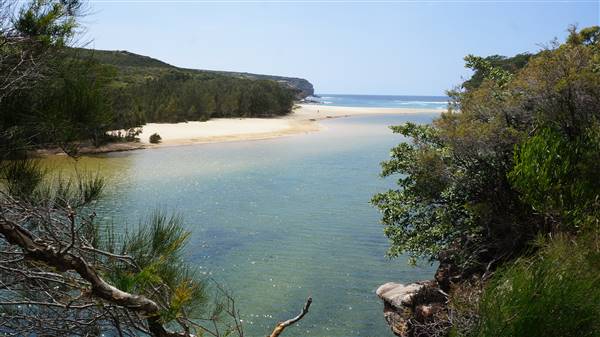 Wattamolla Beach (1/07/2016 - Credits: Mary Barltrop)