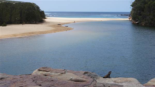 Wattamolla Beach (1/07/2016 - Credits: Mary Barltrop)