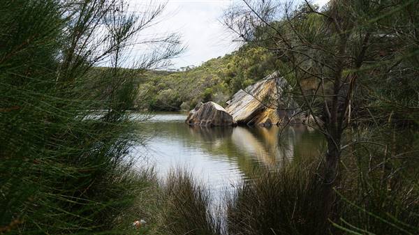 Wattamolla Beach (1/07/2016 - Credits: Mary Barltrop)