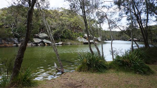 Wattamolla Beach (1/07/2016 - Credits: Mary Barltrop)