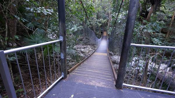 Minnamurra Rainforest Walk - Budderoo National Park (2/07/2016 - Credits: Mary Barltrop)