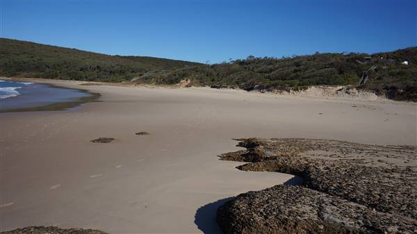 Frazer Beach Campground - Munmorah State Conservation Area (4/07/2016 - Credits: Mary Barltrop)