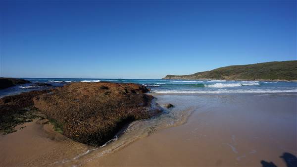 Frazer Beach Campground - Munmorah State Conservation Area (4/07/2016 - Credits: Mary Barltrop)