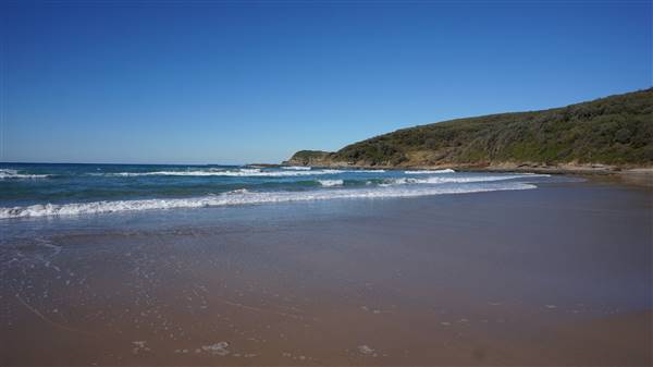 Frazer Beach Campground - Munmorah State Conservation Area (4/07/2016 - Credits: Mary Barltrop)