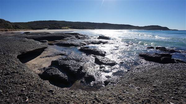 Frazer Beach Campground - Munmorah State Conservation Area (4/07/2016 - Credits: Mary Barltrop)