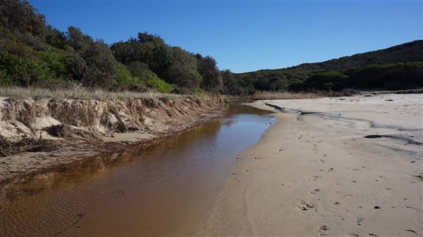 Frazer Beach Campground - Munmorah State Conservation Area (4/07/2016 - Credits: Mary Barltrop)