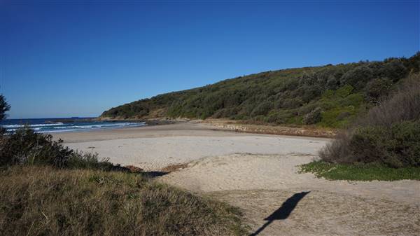 Frazer Beach Campground - Munmorah State Conservation Area (4/07/2016 - Credits: Mary Barltrop)