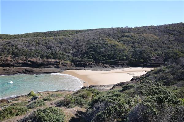 Munmorah State Conservation Area - Snapper Pt and Bongon Beach (4/07/2016)