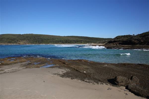 Munmorah State Conservation Area - Snapper Pt and Bongon Beach (4/07/2016)